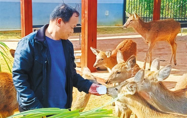 量发展产业调研】林下生金不朽情缘平台推荐