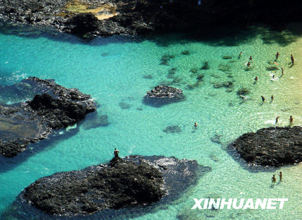 的费尔南多—迪诺罗尼亚岛不朽情缘游戏手机